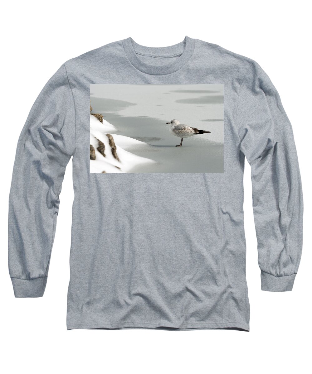 Atop Long Sleeve T-Shirt featuring the photograph Lone Seagull by Travis Rogers