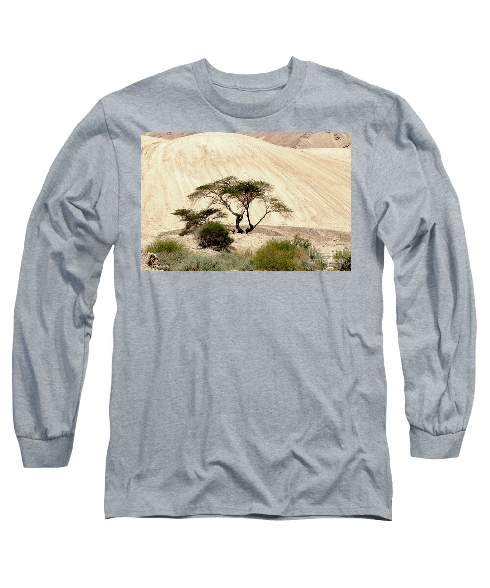 Nature Long Sleeve T-Shirt featuring the photograph Lonely Tree by Arik Baltinester