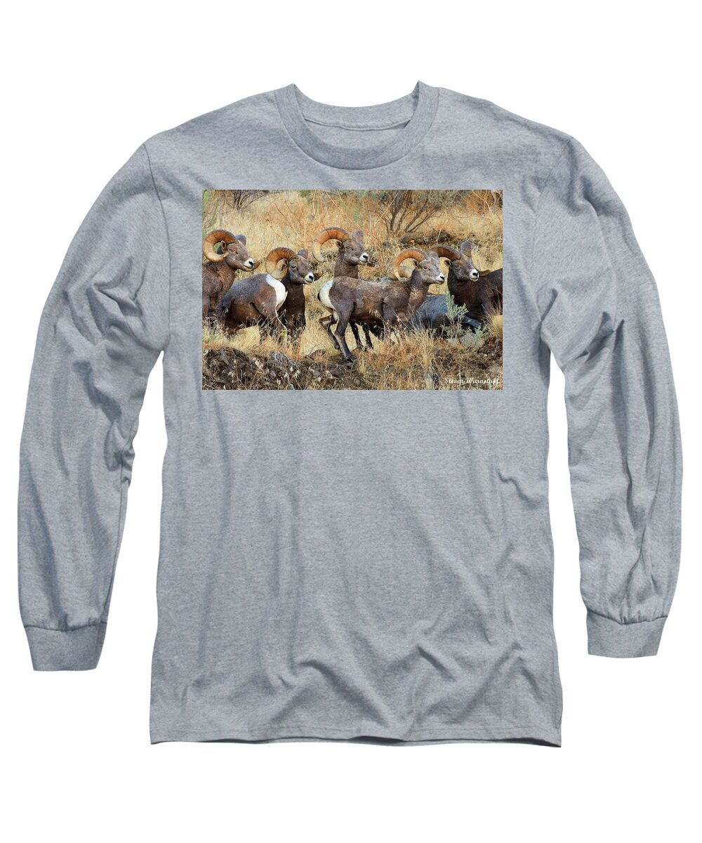 Landscape Long Sleeve T-Shirt featuring the photograph Look at That by Steve Warnstaff