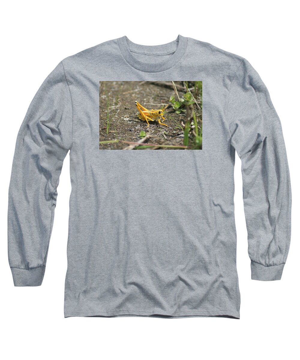 Grasshopper Long Sleeve T-Shirt featuring the photograph Lubber by Lindsey Floyd