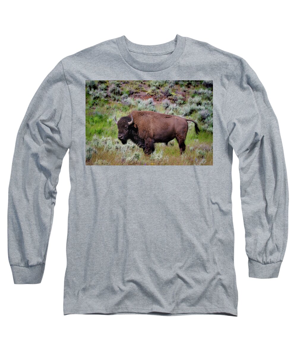 Buffalo Long Sleeve T-Shirt featuring the photograph Majestic American Buffalo by C Renee Martin