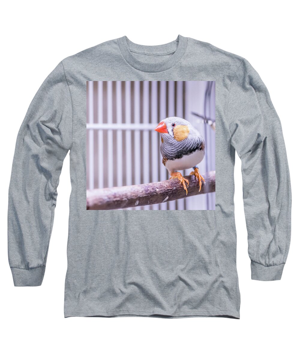 Male Long Sleeve T-Shirt featuring the photograph Male Zebra Finch by Jennifer Grossnickle