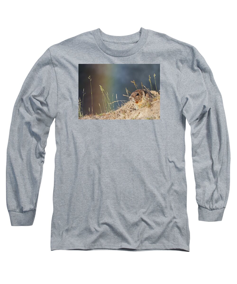 Outdoors Long Sleeve T-Shirt featuring the photograph Marmot and Rainbow by Doug Davidson
