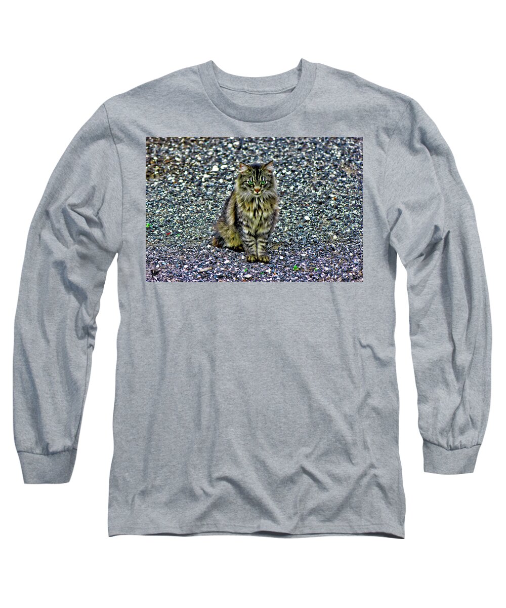 Main Coon Long Sleeve T-Shirt featuring the photograph Mattie the Main Coon Cat by Gina O'Brien