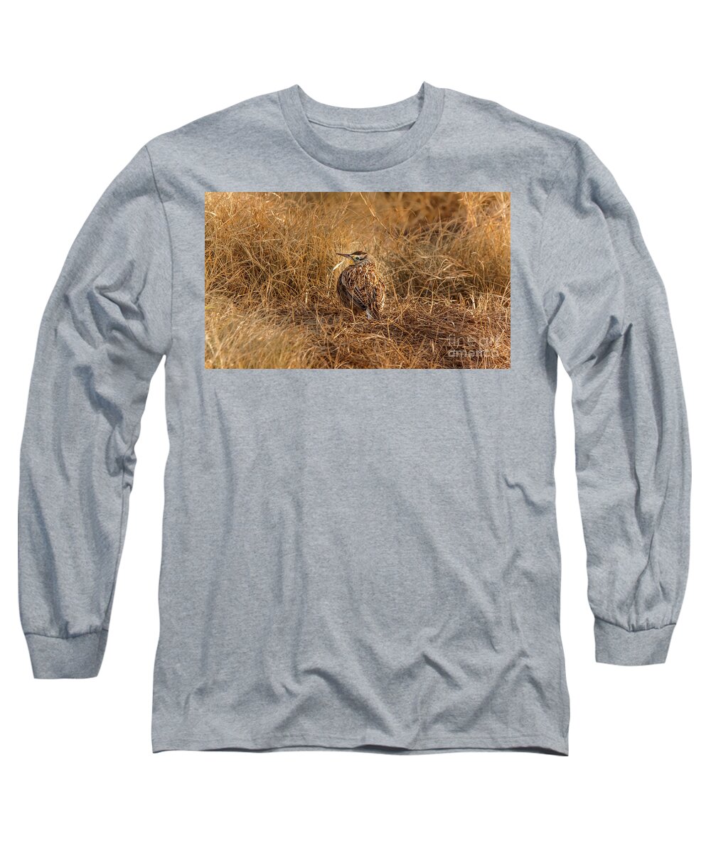 Animal Long Sleeve T-Shirt featuring the photograph Meadowlark Hiding In Grass by Robert Frederick