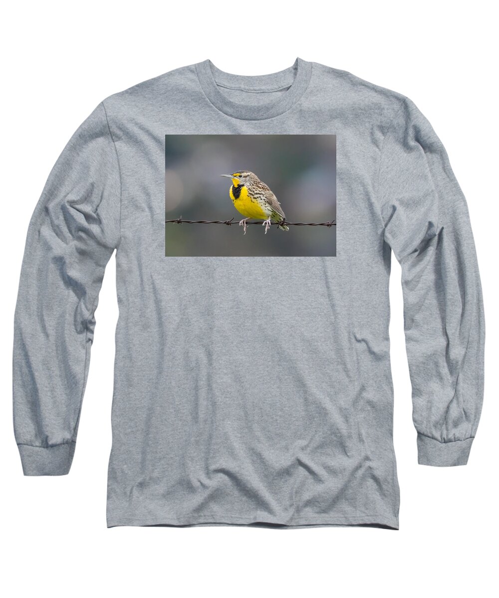 California Long Sleeve T-Shirt featuring the photograph Meadowlark on Barbed Wire by Marc Crumpler
