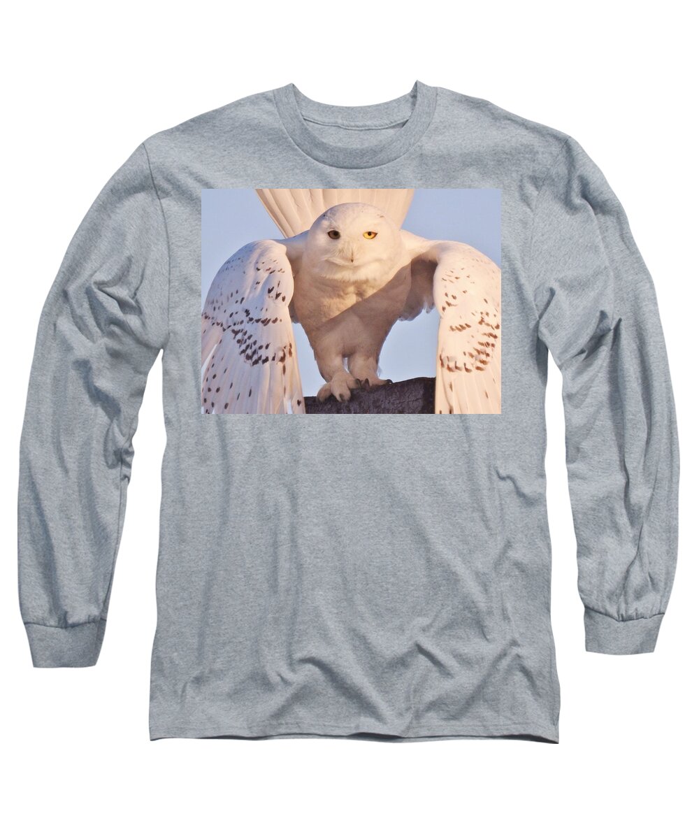 Snowy Owl At Rye Harbor Nh Long Sleeve T-Shirt featuring the photograph Meet Roofus by Elaine Franklin