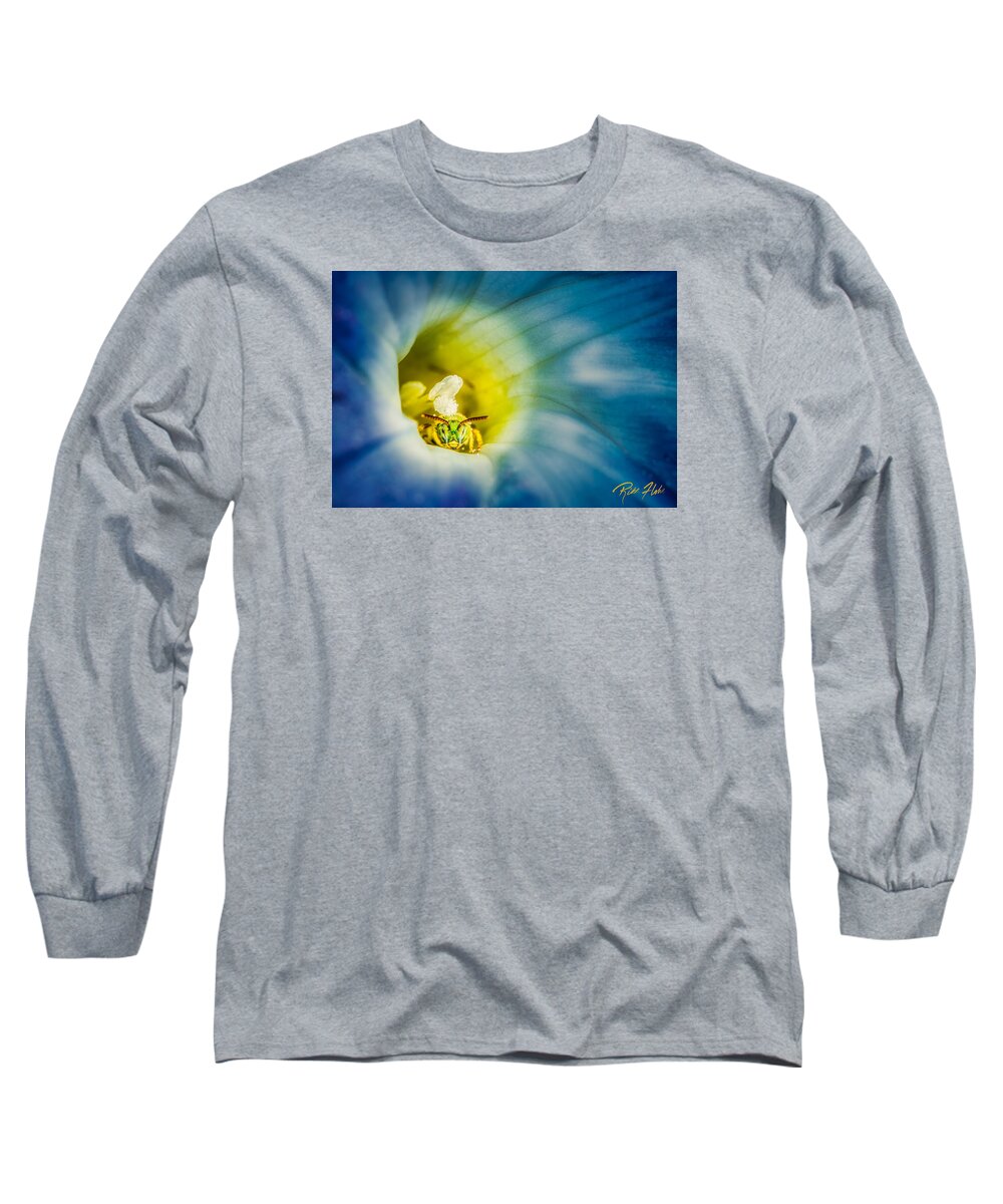 Animals Long Sleeve T-Shirt featuring the photograph Metallic Green Bee in Blue Morning Glory by Rikk Flohr