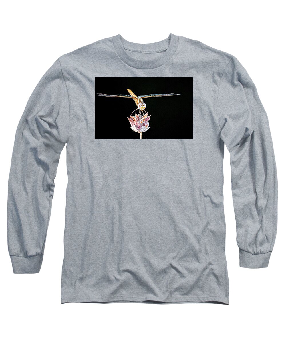 Insect Long Sleeve T-Shirt featuring the photograph Midnight Landing by AJ Schibig