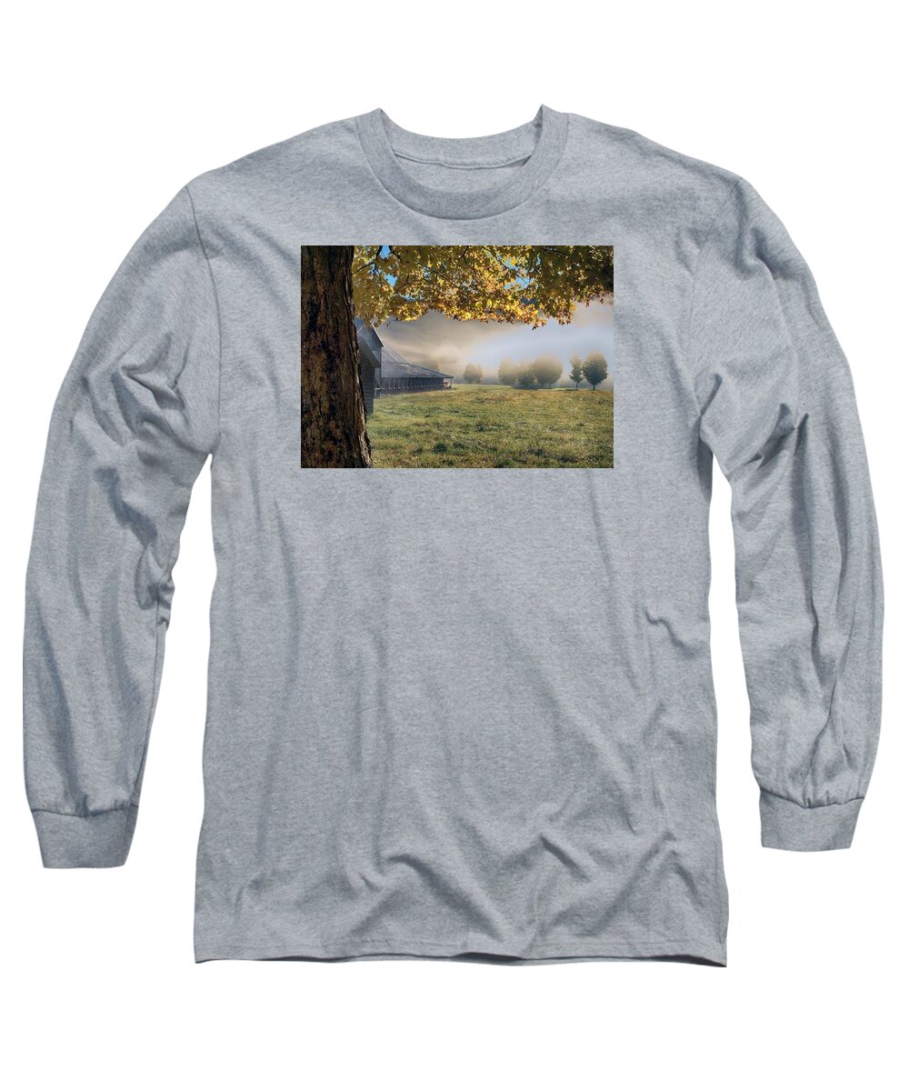 Misty Long Sleeve T-Shirt featuring the photograph Misty morn by Patricia Dennis