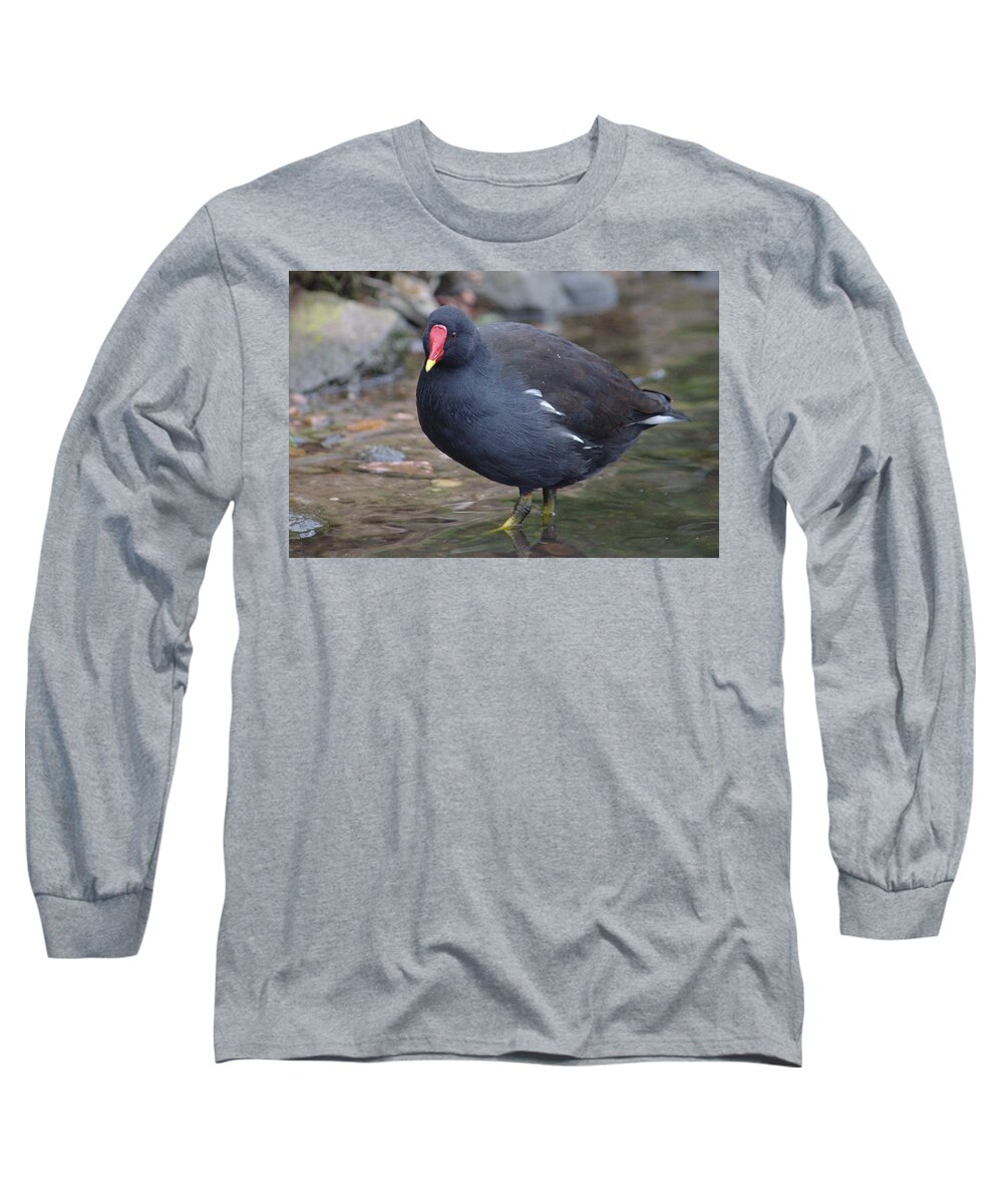 Moorhen Long Sleeve T-Shirt featuring the photograph Moorhen Stalking by Adrian Wale