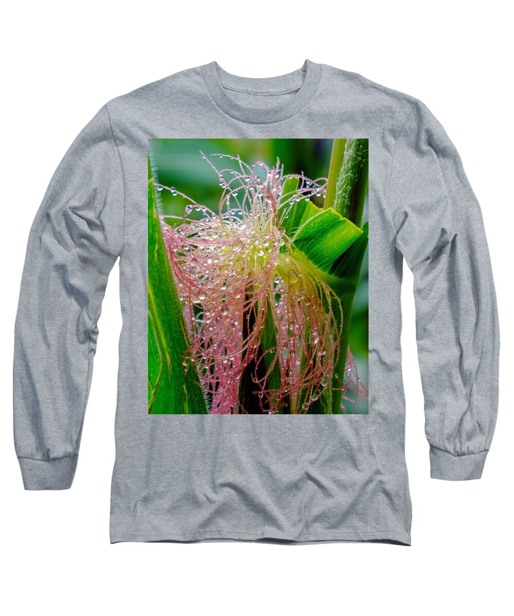 Flowers Long Sleeve T-Shirt featuring the photograph Morning Dew on the Corn by Roberta Kayne