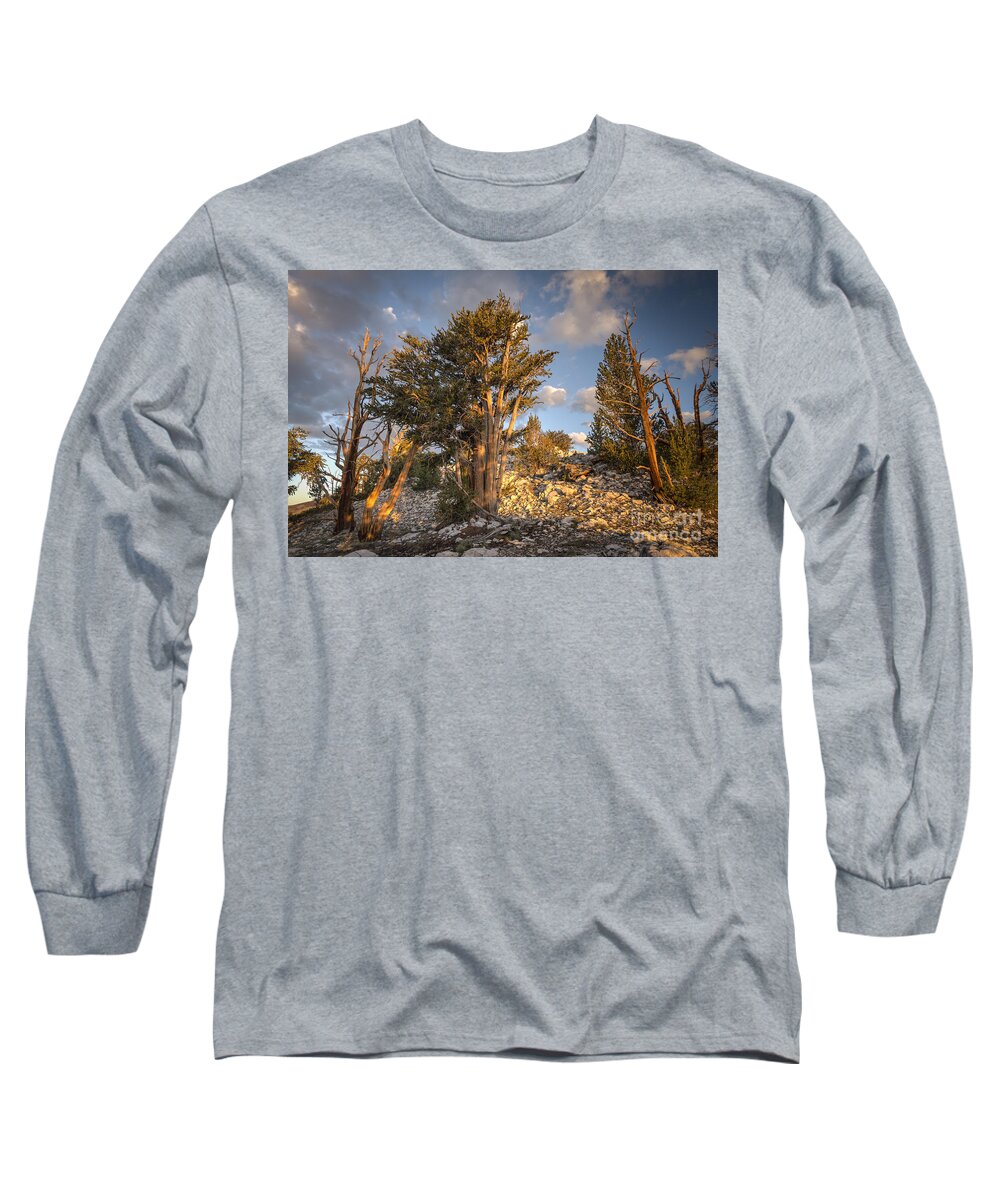White Mountains Long Sleeve T-Shirt featuring the photograph Morning in the White Mountains by Jennifer Magallon