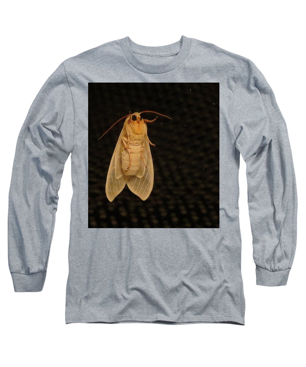 Moth Long Sleeve T-Shirt featuring the photograph Mothra by Linda Stern