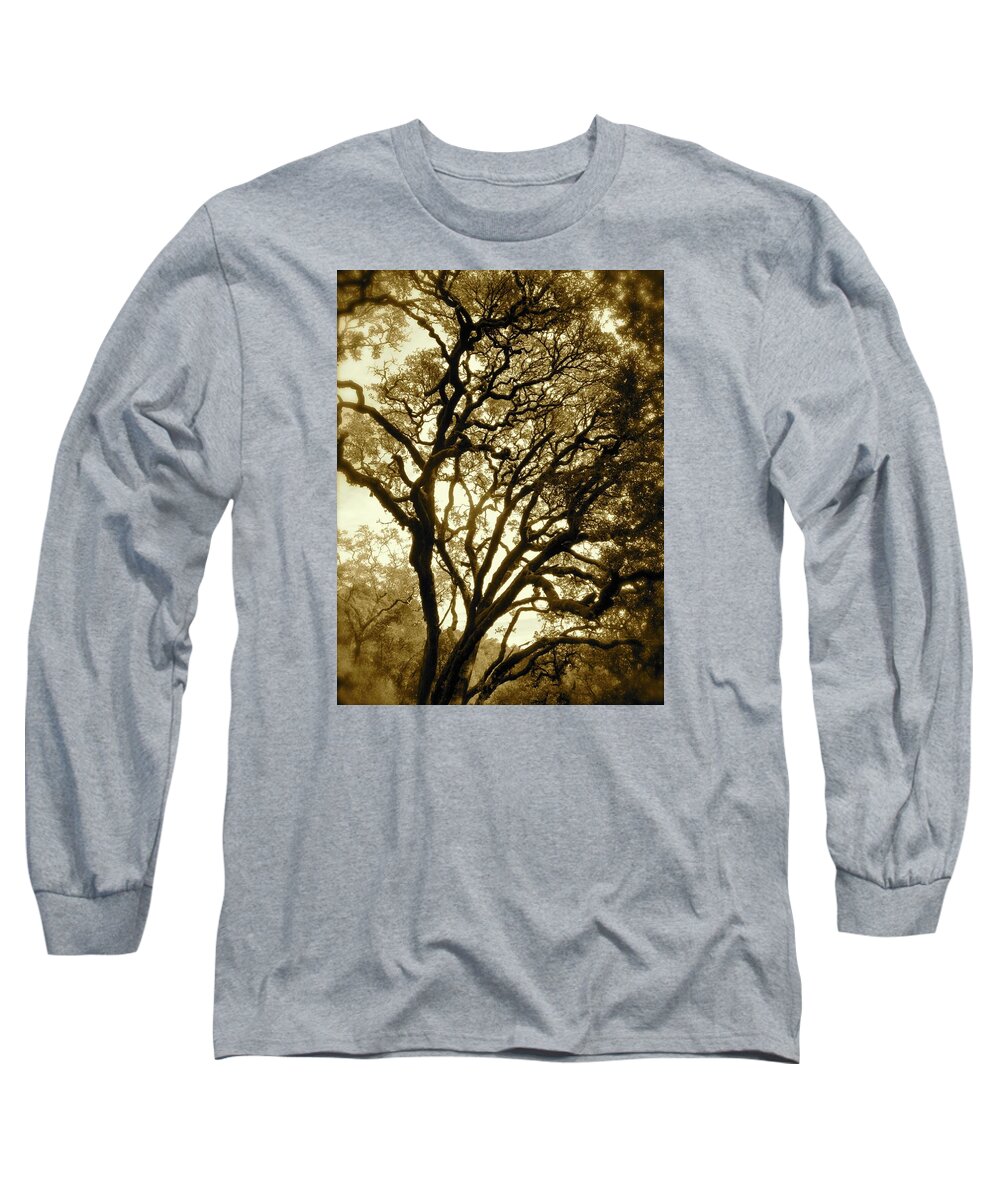  Long Sleeve T-Shirt featuring the photograph Mount Madonna California 2012 by Leizel Grant