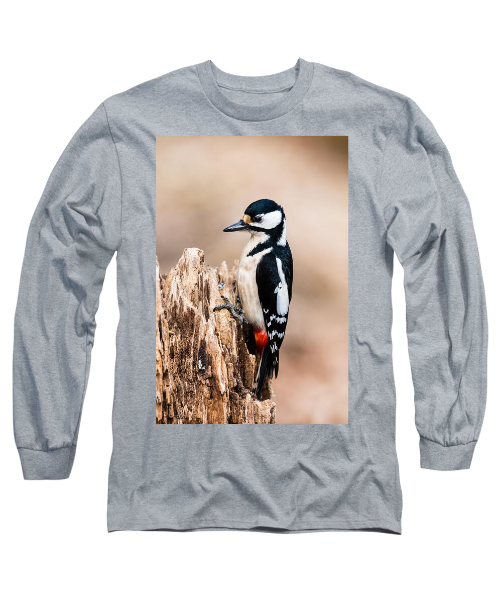 Mrs Woodpecker Long Sleeve T-Shirt featuring the photograph Mrs Woodpecker by Torbjorn Swenelius