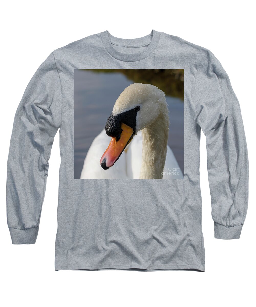 Swan Long Sleeve T-Shirt featuring the photograph Mute swan cob by Steev Stamford