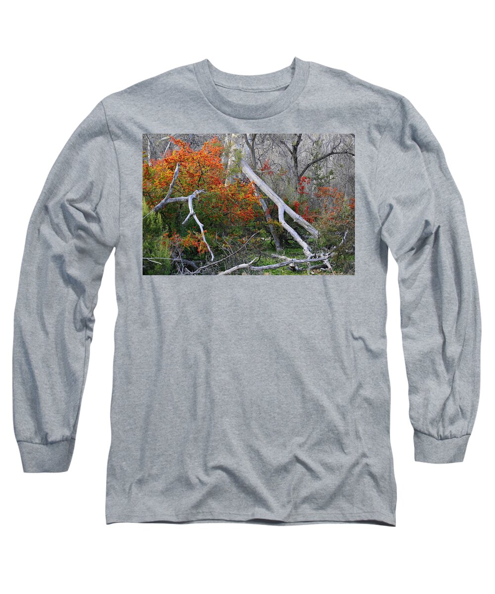Berries Long Sleeve T-Shirt featuring the photograph Mystical Woodland by Tranquil Light Photography