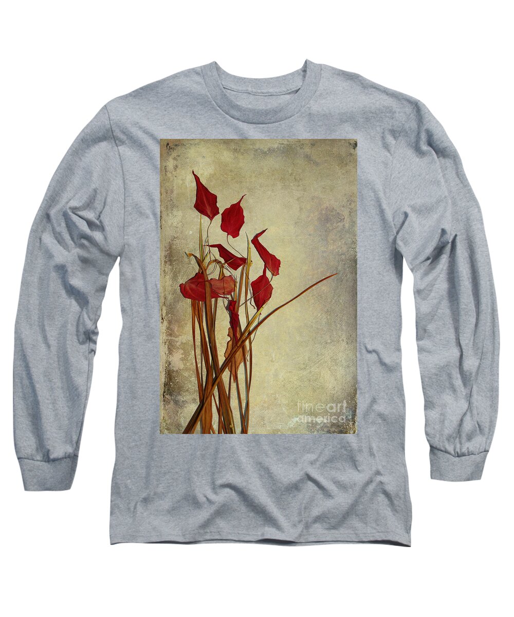 still Life�photography Long Sleeve T-Shirt featuring the photograph Nature Morte Du Moment by Aimelle Ml