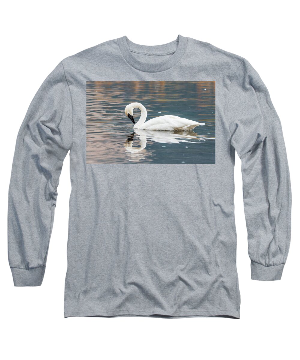 Bird Long Sleeve T-Shirt featuring the photograph Nature's Grace by Jody Partin