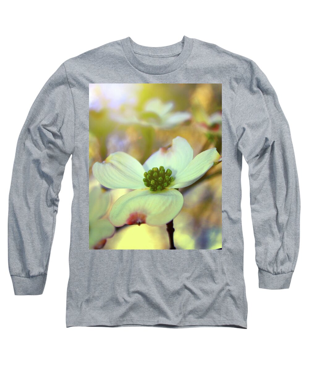 North Carolina State Flower Long Sleeve T-Shirt featuring the painting North Carolina Dogwood State Flower by Gray Artus