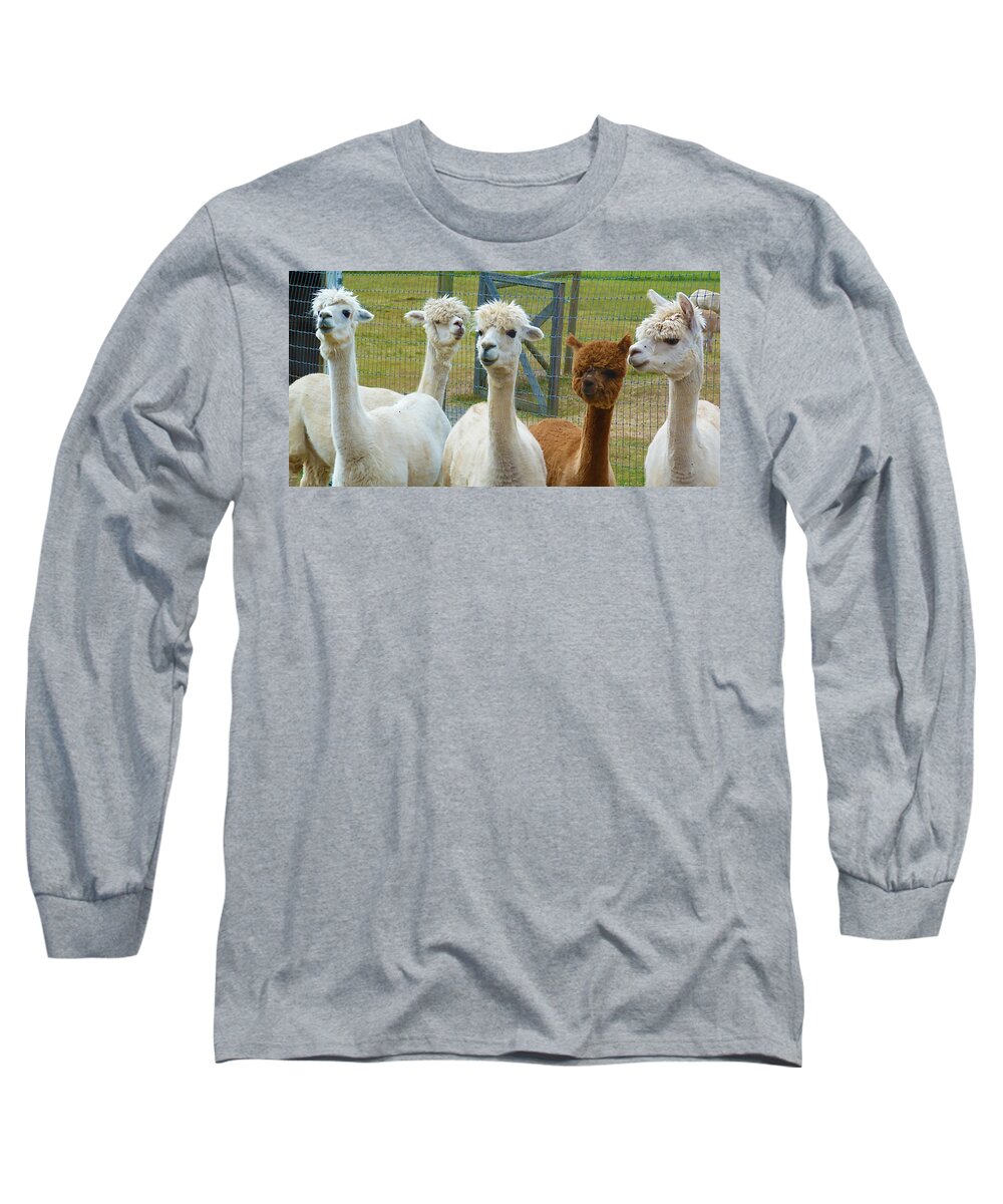 Alpaca Long Sleeve T-Shirt featuring the photograph Not from Around Here by Terry Fiala