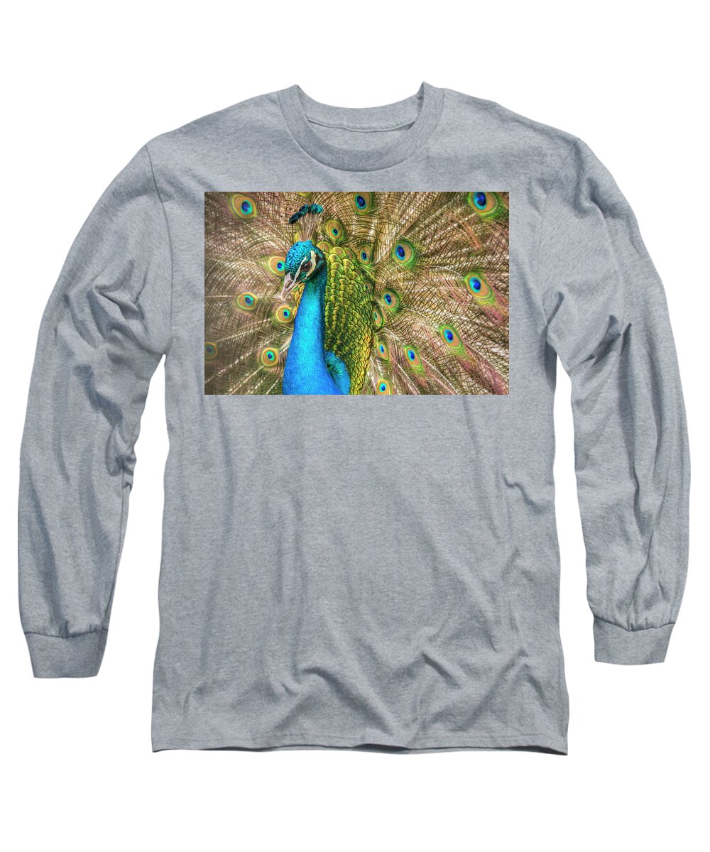 Peacocks Long Sleeve T-Shirt featuring the photograph Not Just A Pretty Face by Kristina Rinell