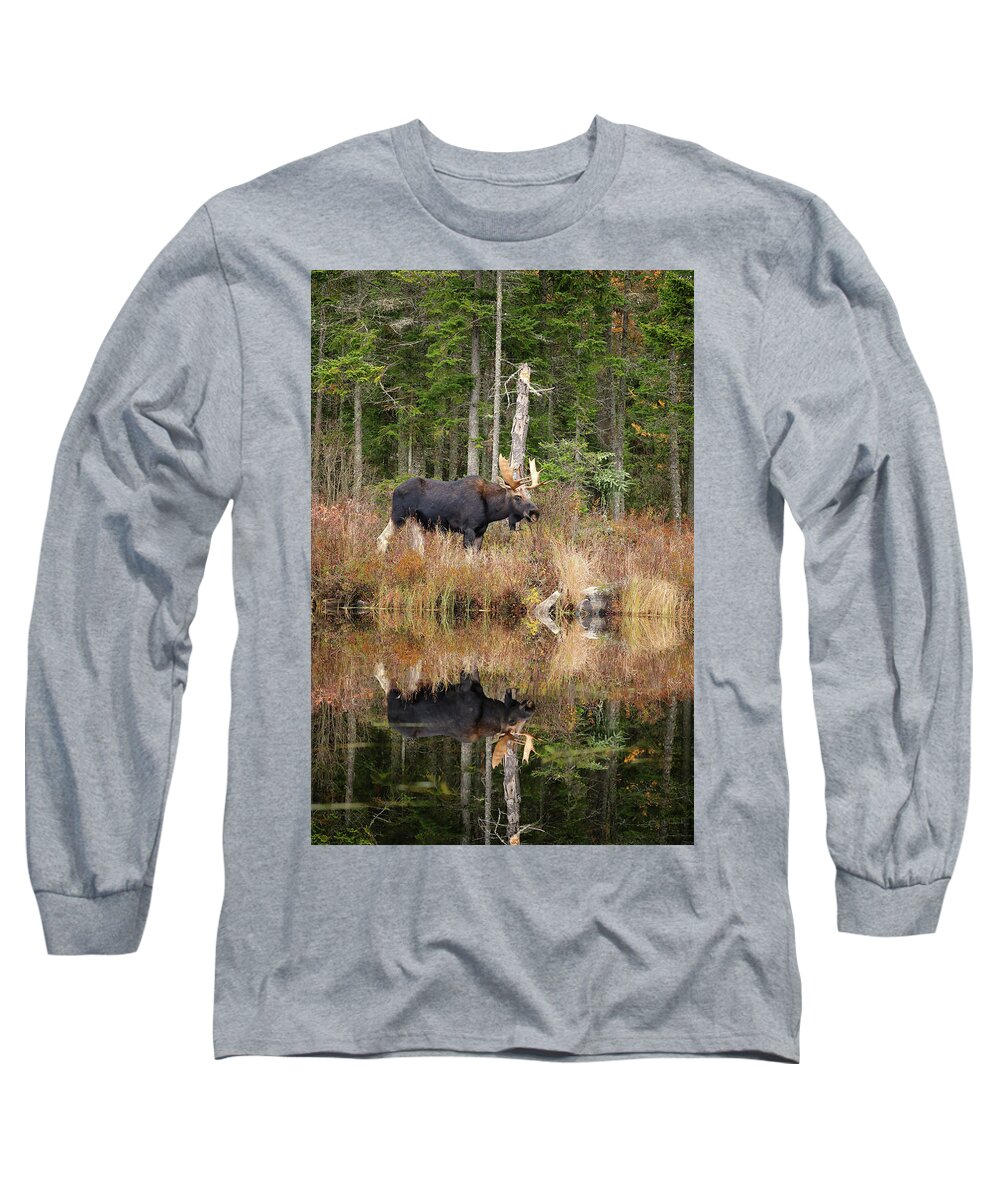 Moose Long Sleeve T-Shirt featuring the photograph November Bull Moose by Duane Cross