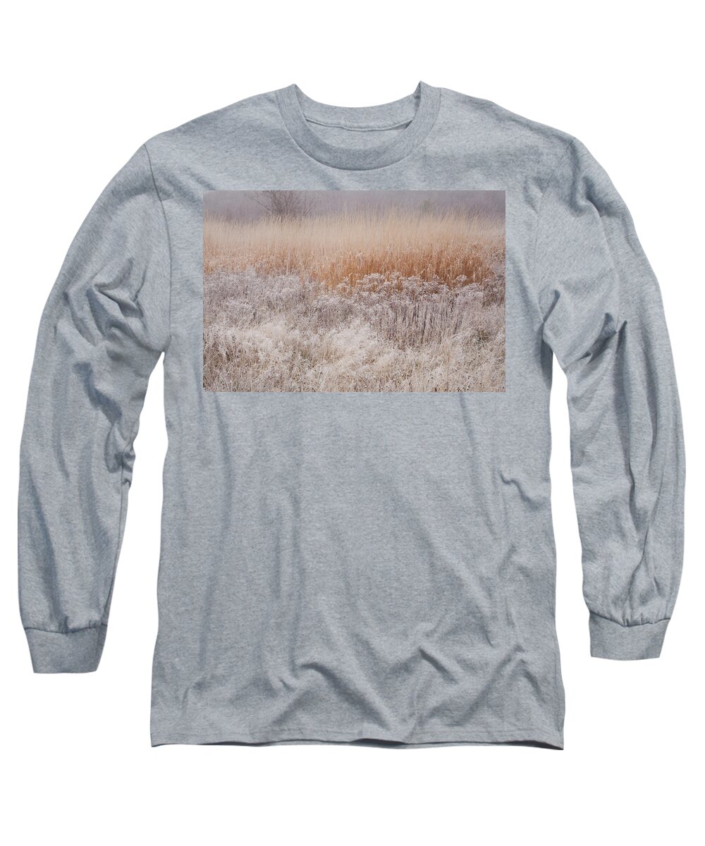 Late Autumn Long Sleeve T-Shirt featuring the photograph November Frosted Wild Field by Irwin Barrett