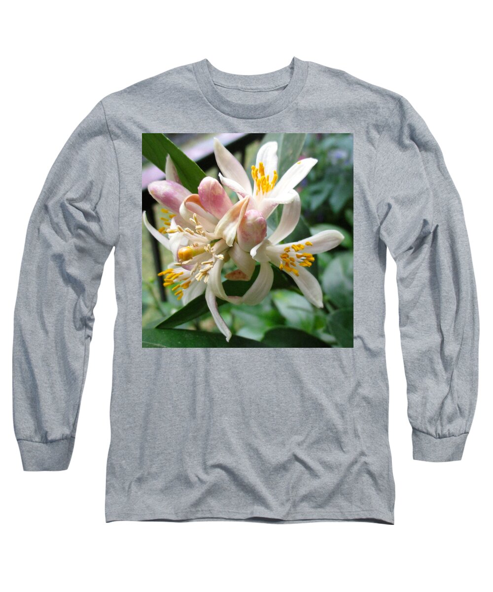 Lemon Long Sleeve T-Shirt featuring the photograph Old and New by Etta Harris