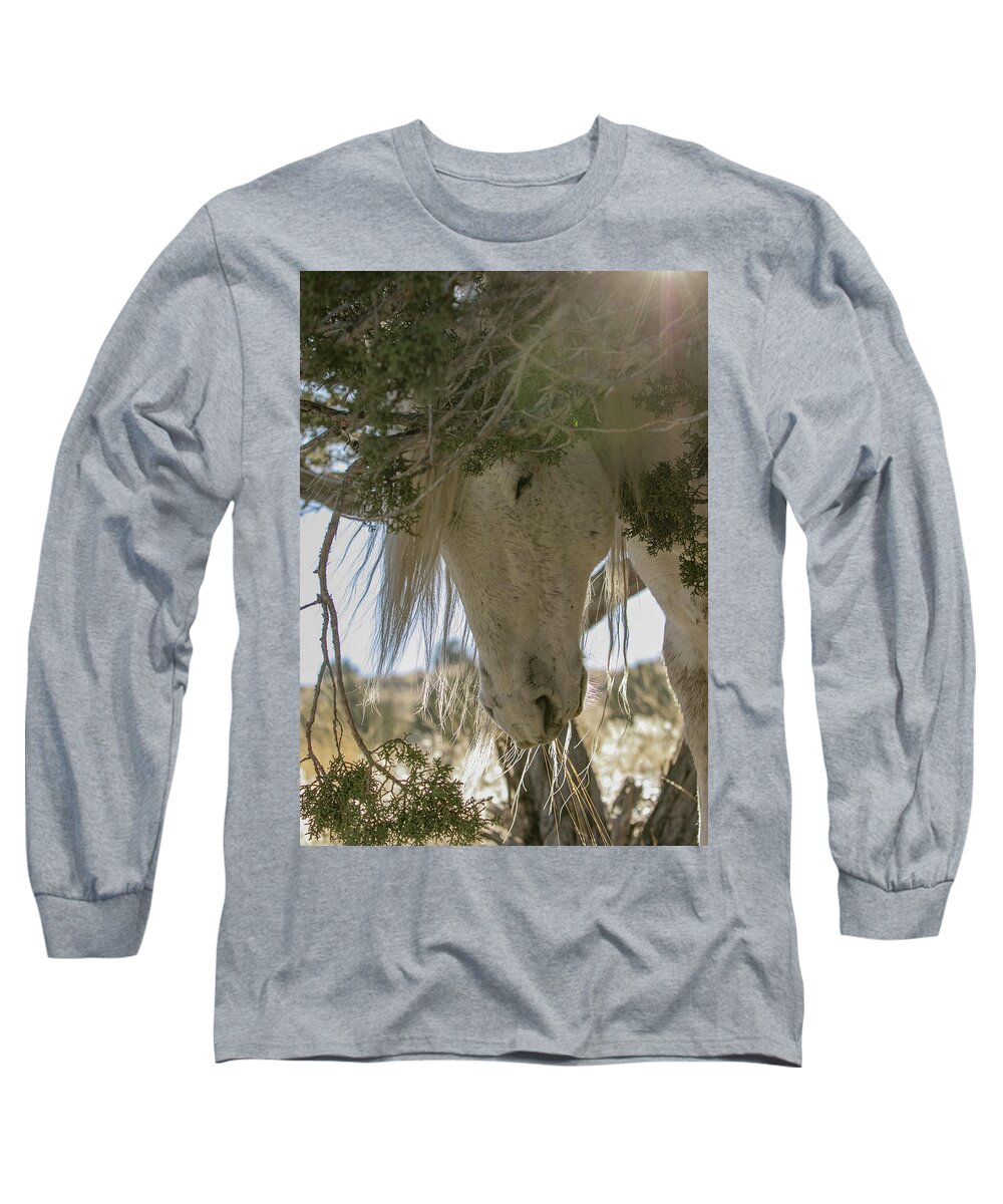 Horse Long Sleeve T-Shirt featuring the photograph Old Man and The Juniper by Kent Keller