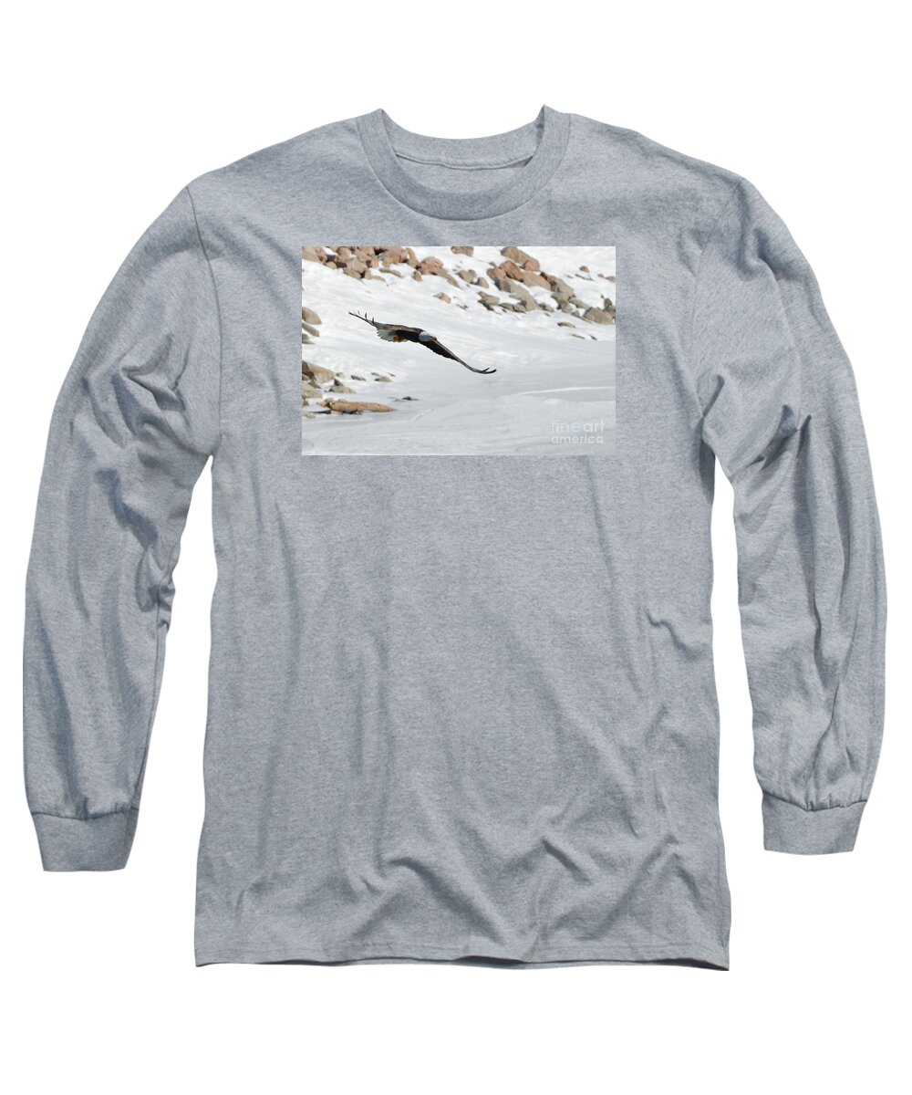 Bald Eagle Bird Fly Flying Hunt Hunting Nature Wildlife Long Sleeve T-Shirt featuring the photograph On the Hunt 3291 by Ken DePue