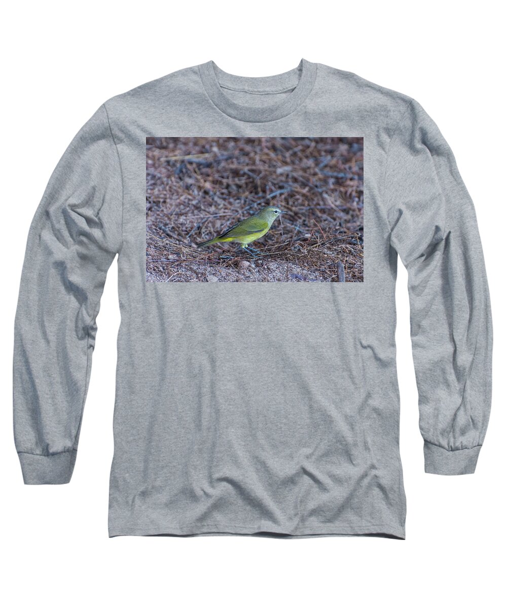 Orange Long Sleeve T-Shirt featuring the photograph Orange-crowned Warbler by Douglas Killourie