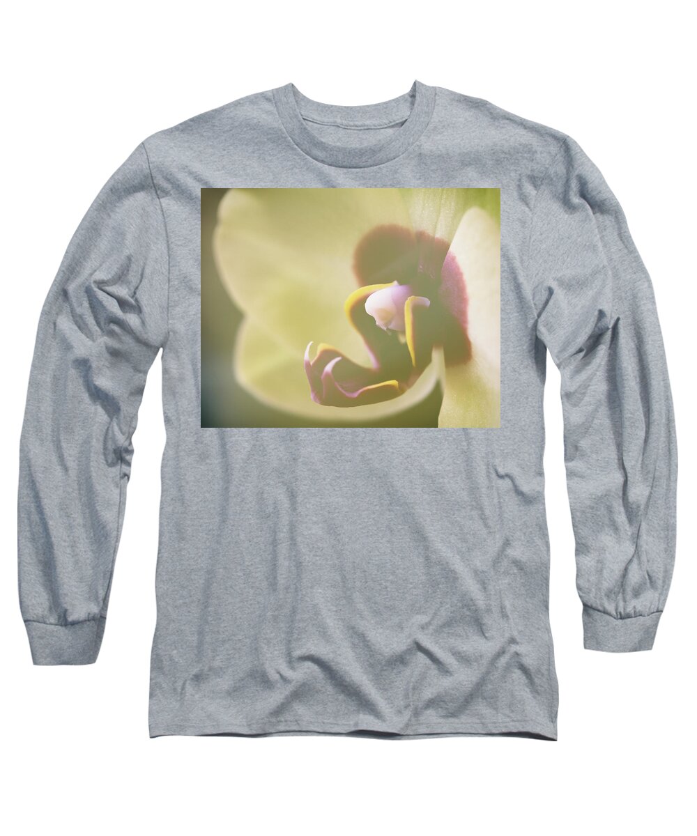 Chicago Botanical Gardens Long Sleeve T-Shirt featuring the photograph Orchid Dreams by Lauri Novak