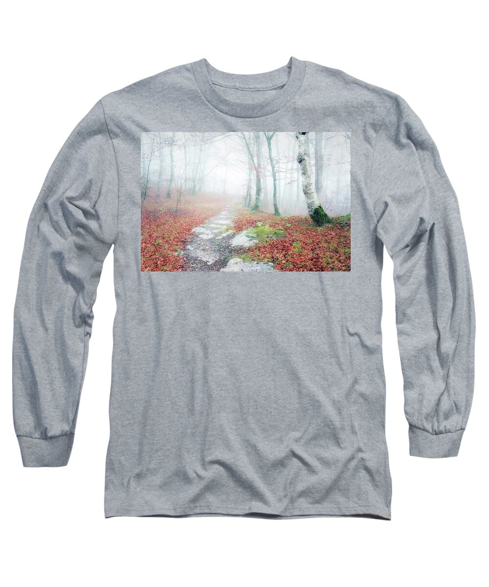 Autumn Long Sleeve T-Shirt featuring the photograph Path in the forest by Mikel Martinez de Osaba