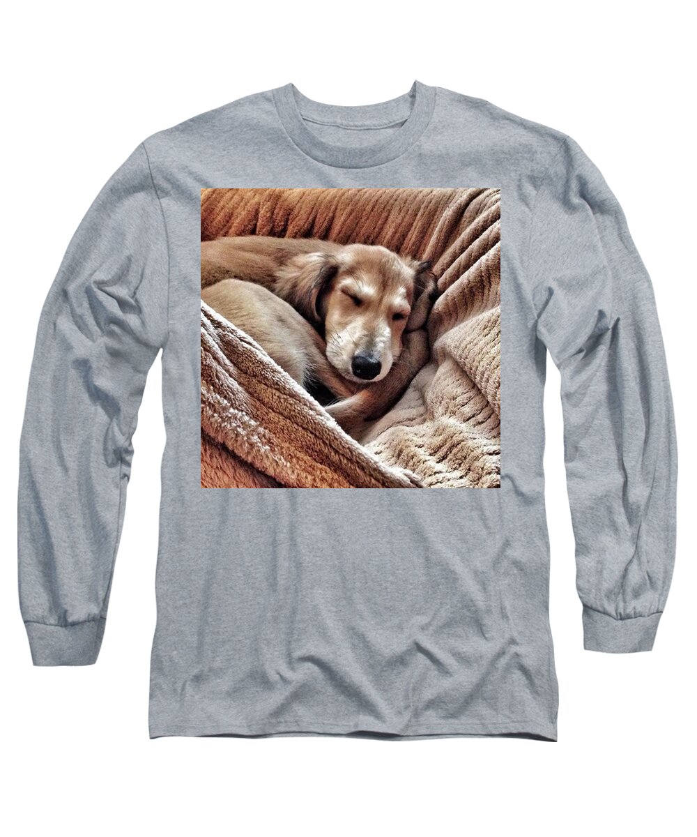 Persiangreyhound Long Sleeve T-Shirt featuring the photograph Peace At Last
#saluki by John Edwards