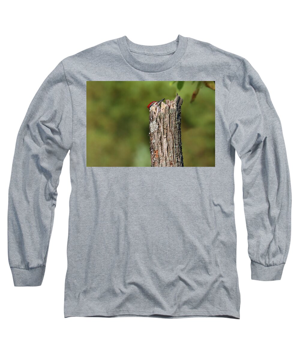 Pileated Woodpecker Long Sleeve T-Shirt featuring the photograph Peek A Boo Pileated Woodpecker by Brook Burling