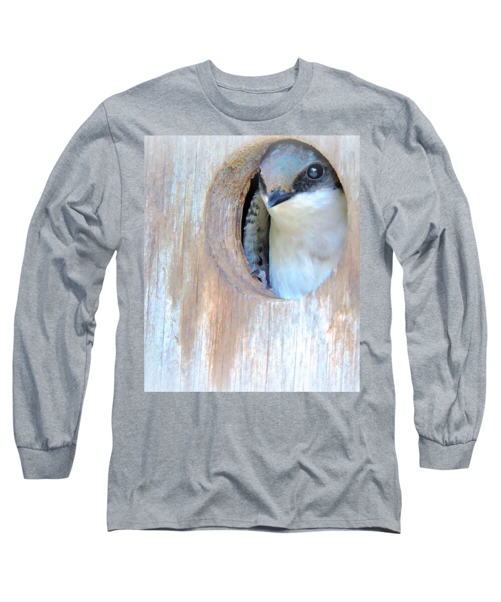 Tree Swallow Long Sleeve T-Shirt featuring the photograph Peek Of Blue by Tami Quigley