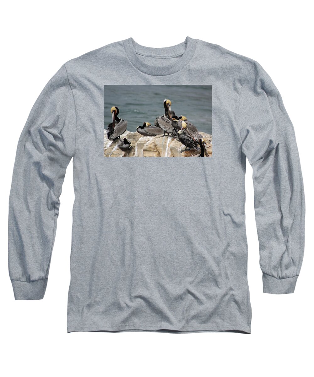  Brown Long Sleeve T-Shirt featuring the photograph Pelican Rock by Deana Glenz