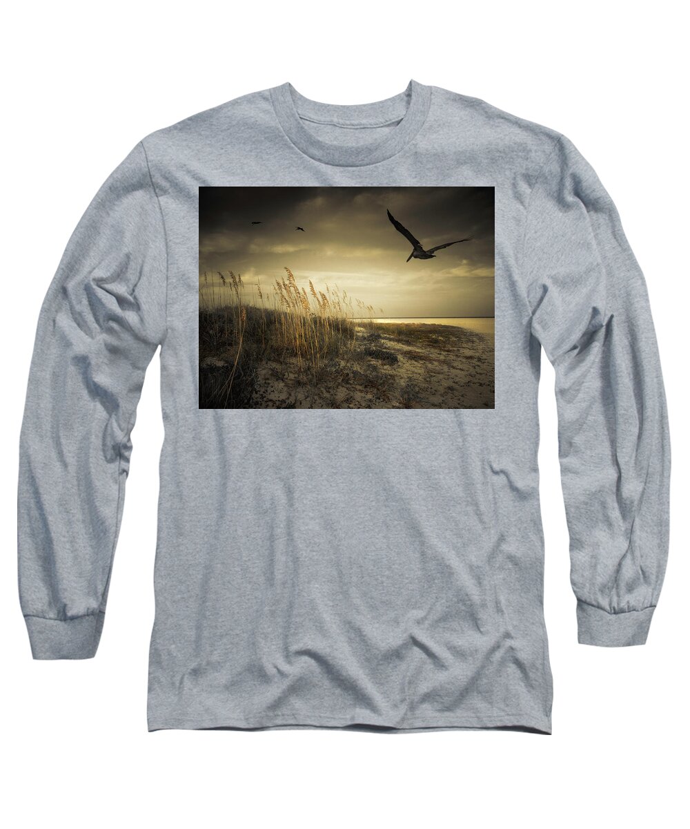 Pelicans Long Sleeve T-Shirt featuring the photograph Pelicans Over the Beach by Sandra Selle Rodriguez