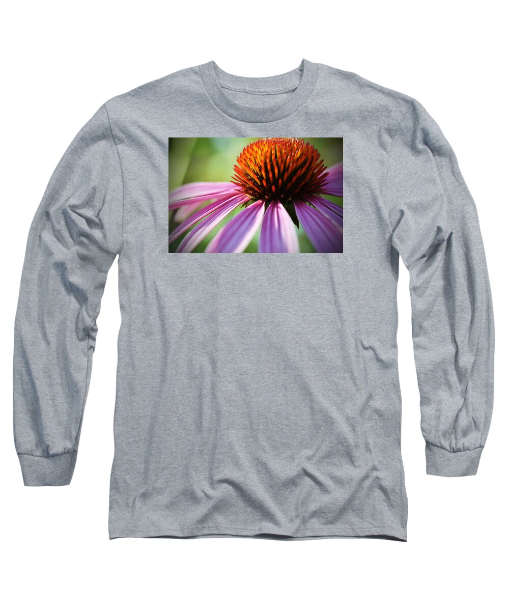 Flower Long Sleeve T-Shirt featuring the photograph Petal's Edge by Andrea Platt
