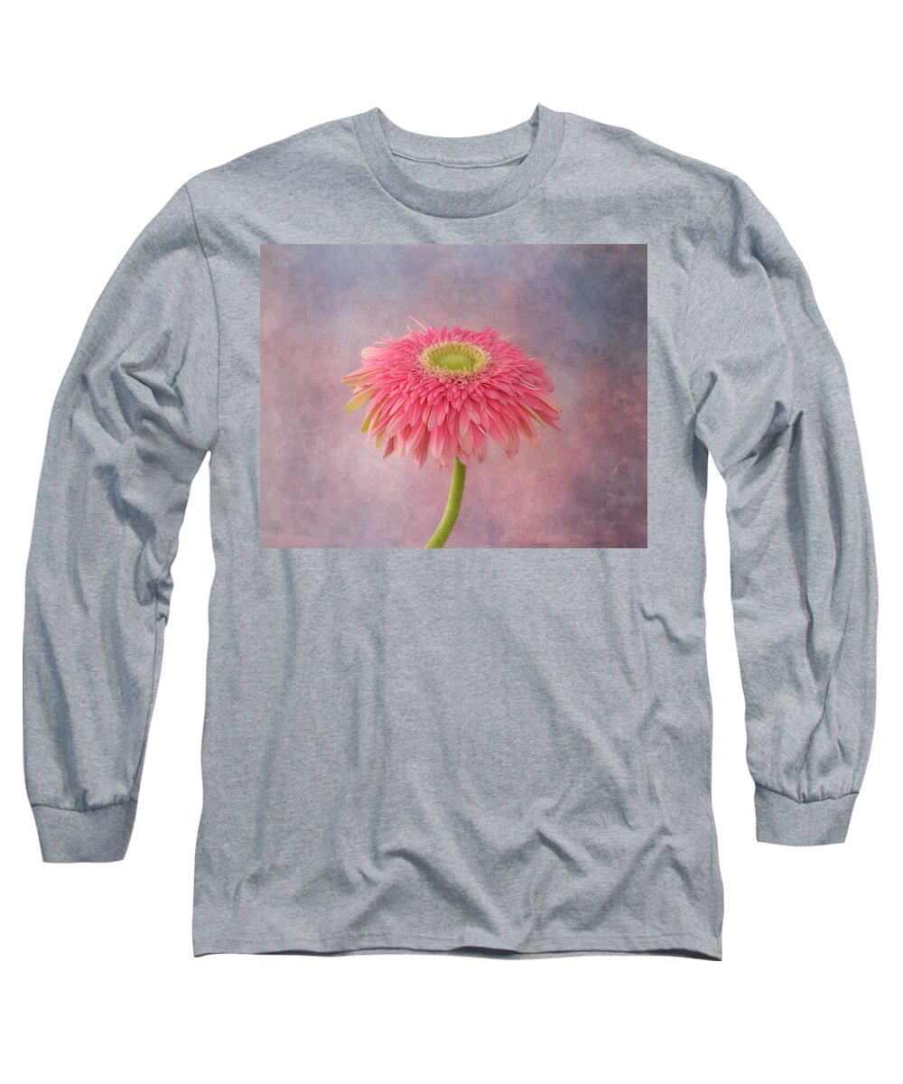 Pink Flower Long Sleeve T-Shirt featuring the photograph Pink in the Garden by Kim Hojnacki