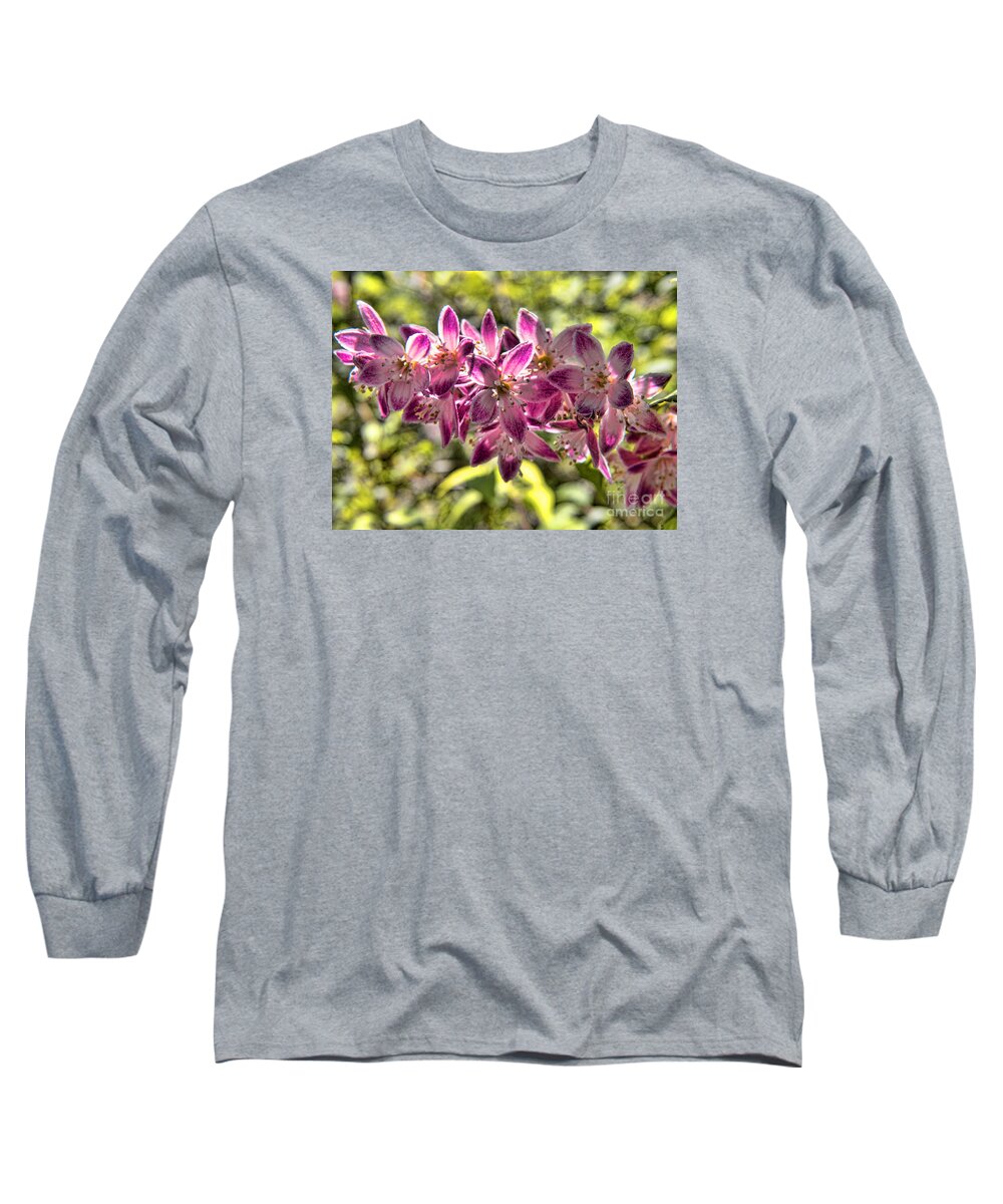 Biltmore Long Sleeve T-Shirt featuring the photograph Pink Ladies in Spring Glory by Brenda Kean
