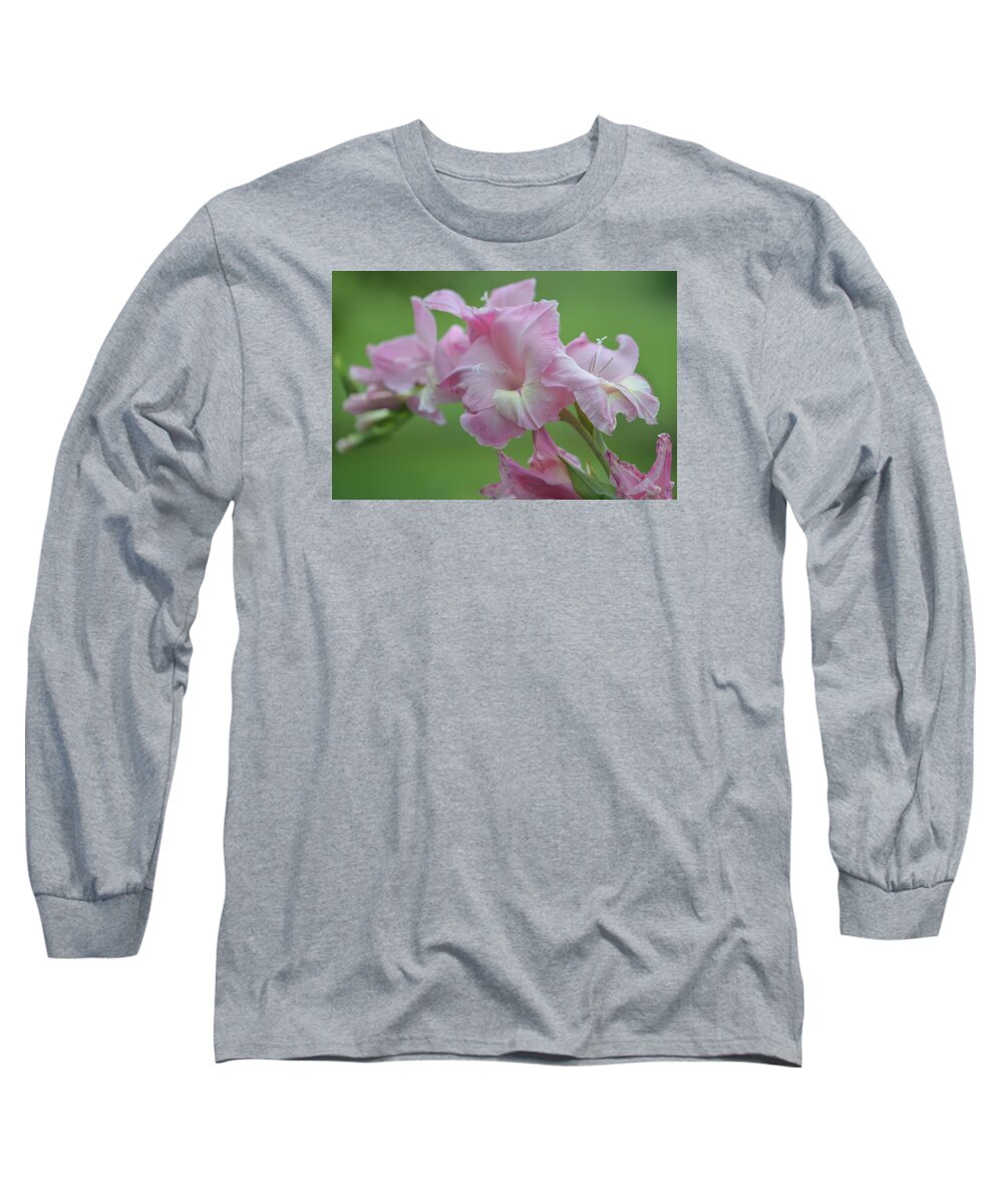 Floral Long Sleeve T-Shirt featuring the photograph Pink by Teresa Tilley