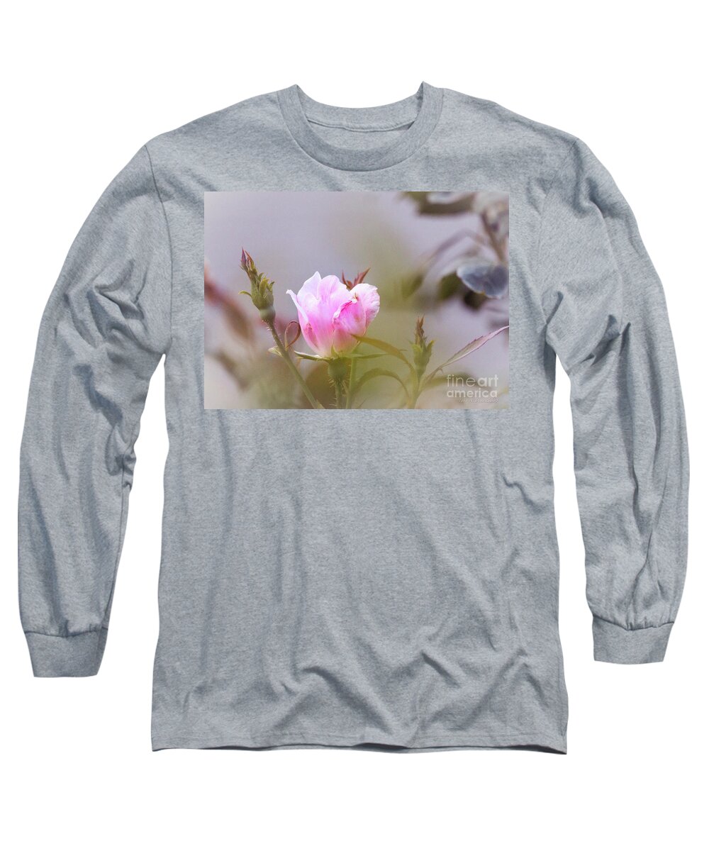 Closeup Long Sleeve T-Shirt featuring the photograph Pink by Todd Blanchard