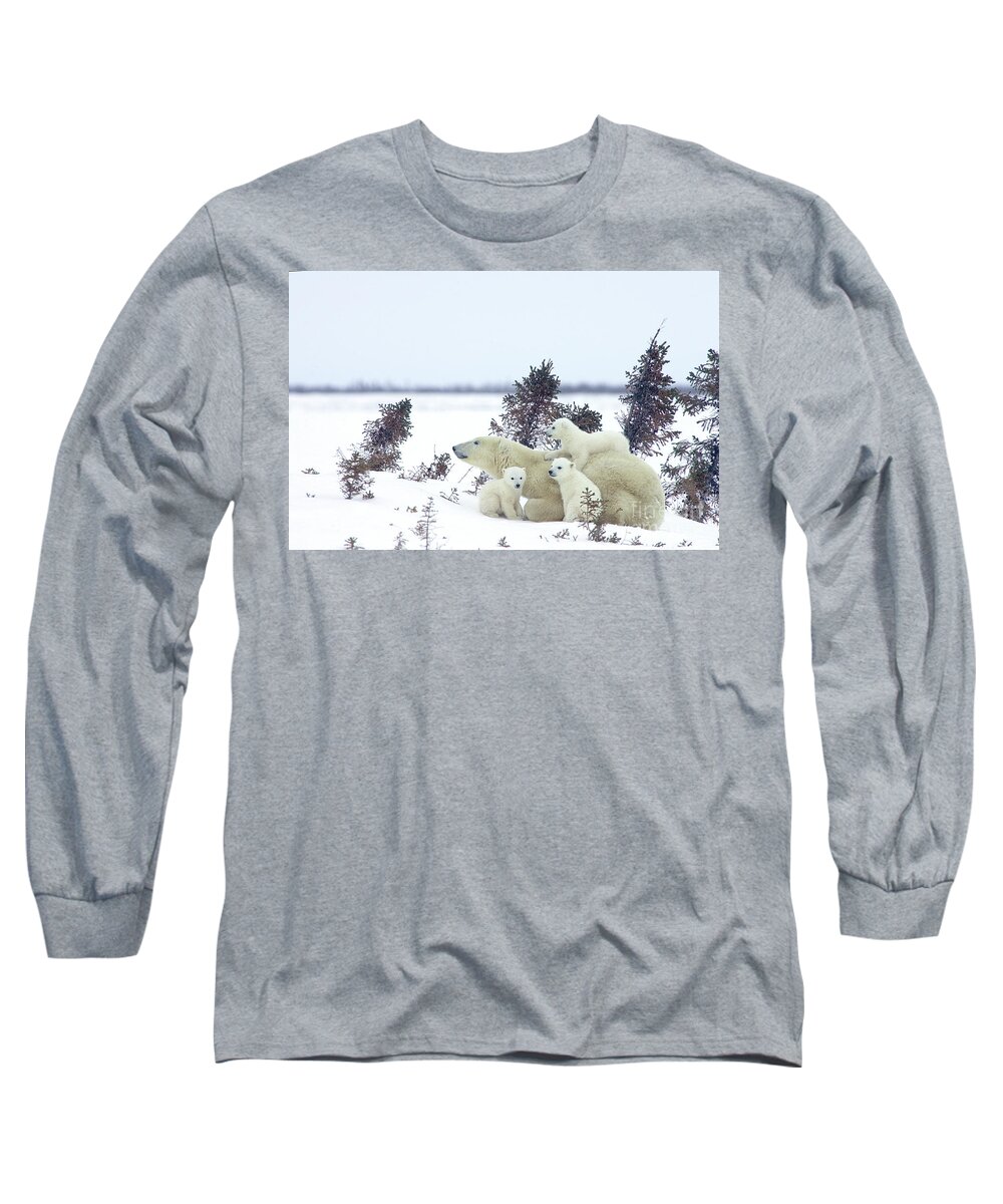 00601021 Long Sleeve T-Shirt featuring the photograph Polar Bear Mom and Four Cubs by Matthias Breiter