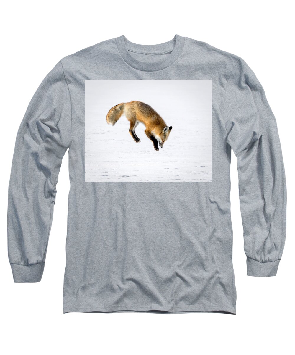 Red Fox Long Sleeve T-Shirt featuring the photograph Pounce by Jack Bell