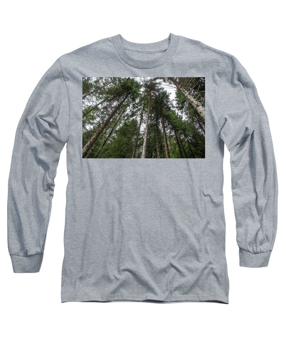 Trees Long Sleeve T-Shirt featuring the photograph Prospective of a pines forest by Nicola Aristolao