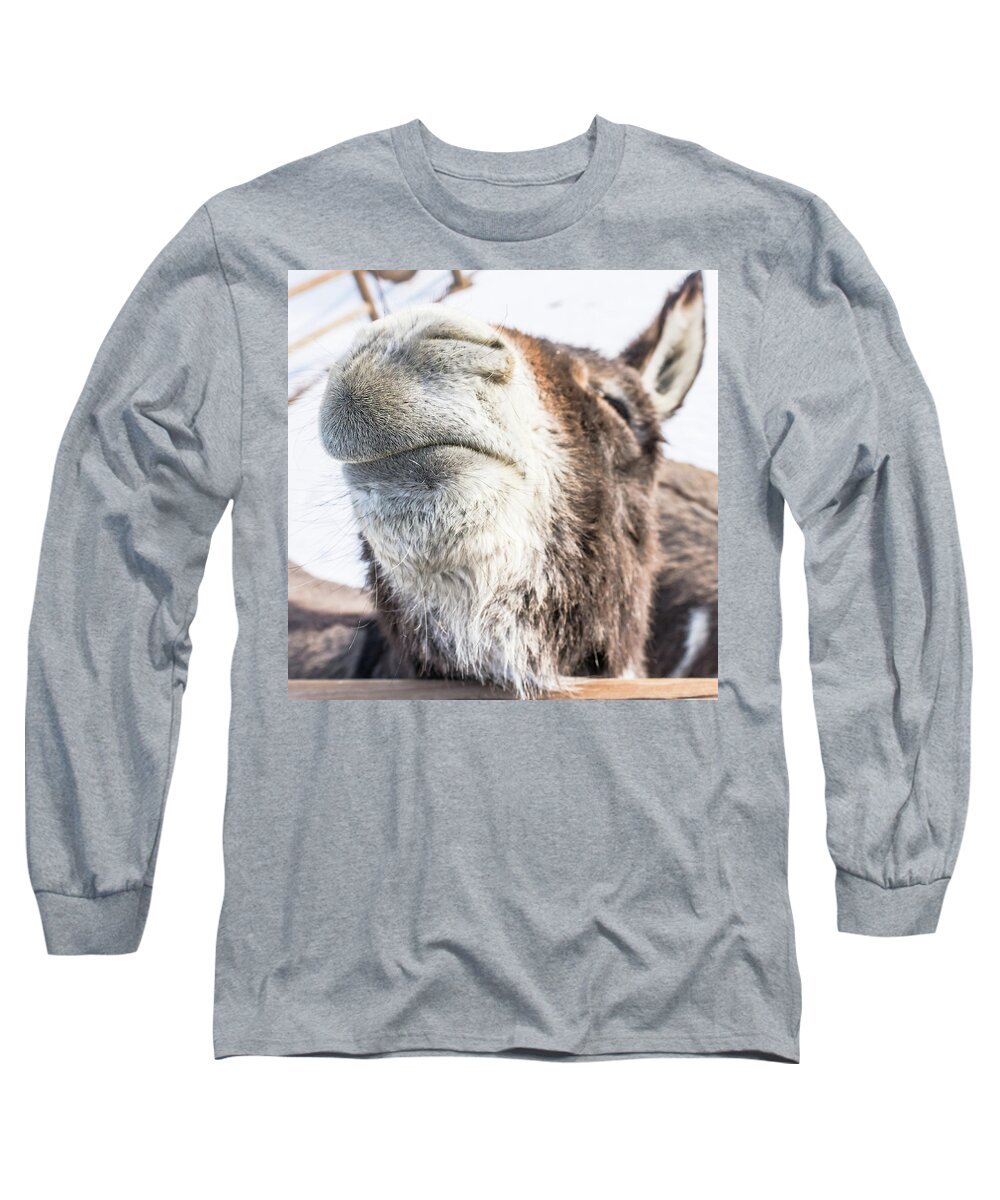 Donkey Long Sleeve T-Shirt featuring the photograph Pucker Up, Baby by Jennifer Grossnickle
