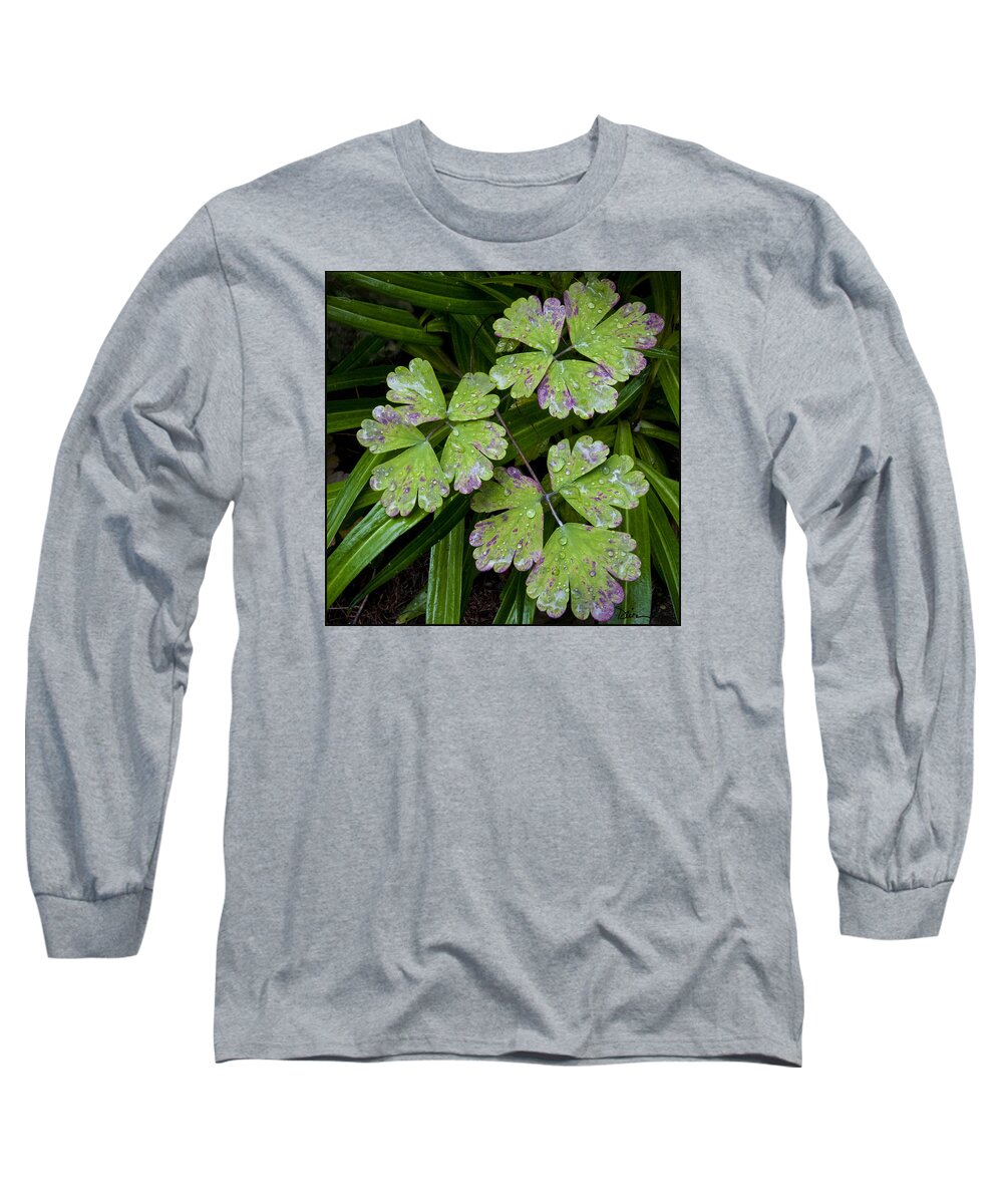Green Long Sleeve T-Shirt featuring the photograph Purple and Green by Peggy Dietz